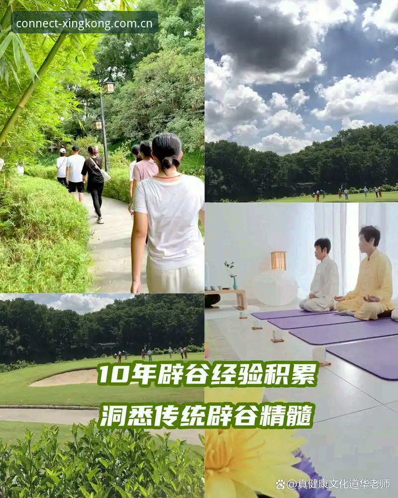 一位数据控的XINGKONG安卓版深度体验：以视野连接边界的实战心得